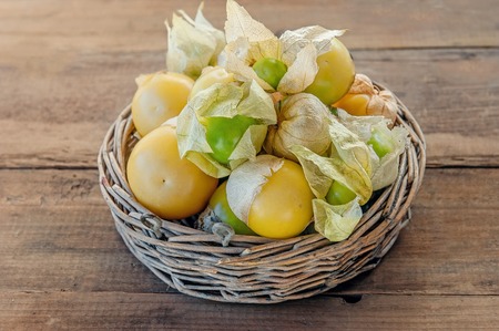 Organic Physalis. Branches with green berries, physalis harvest in the Summer garden on a wooden table.の写真素材