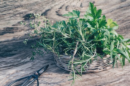Fresh green parsley on a wooden table, cut in the city garden. selective focus.の写真素材