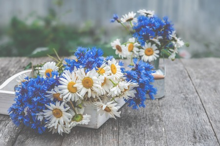 Background of bouquets of beautiful wild flowers of daisies and cornflowers on the background of the old wooden background. Copy space.の写真素材