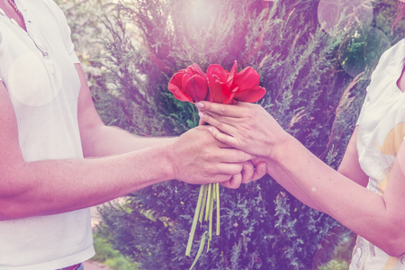Loving couple holding a bouquet of tulips on beautiful trees.の写真素材