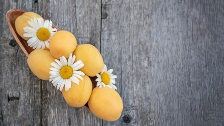 Ripe Golden apricots in wooden bowl on wooden background. Copy space.の写真素材