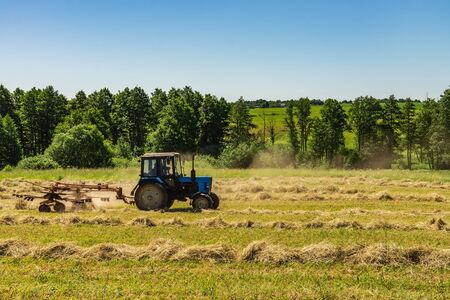 An old tractor turns over the mowed hay on a Sunny summer morning for better drying. Fodder for cows for the winter.の写真素材