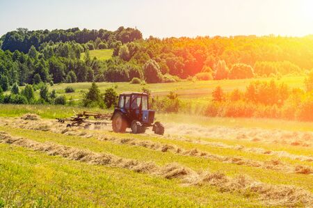 An old tractor turns over the mowed hay on a Sunny summer morning for better drying. Fodder for cows for the winter.の写真素材