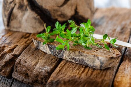 A piece of rye bread with a bunch of thyme on a wooden old stand. Farmers early Breakfastの写真素材