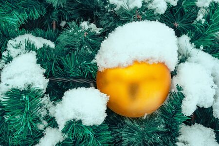 Christmas decor Christmas tree under the snow on the street. A big yellow ball on a branch. Selective focus.の写真素材