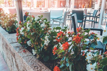 View of the old cozy street in Europe . Street view in a traditional cafe sitting outdoors decorated with begonia flowers.の写真素材