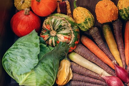 Farm vegetables cabbage, pumpkins, carrots of different colors, onions are in the window of the farmer's market.の写真素材