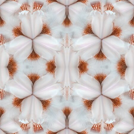 Abstract plant background from the core of a brown iris flower. Close-up, macro photography....