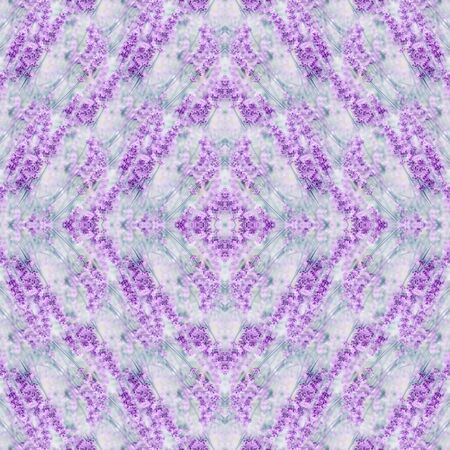 Out-of-focus blur summer blooming lavenderの写真素材