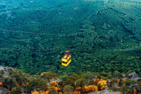 Yellow cab of the funicular over the green forest slope of the mountainの写真素材