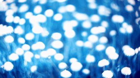 Abstract tinted plant background. Blurred spring background of blooming dandelions for the designer...