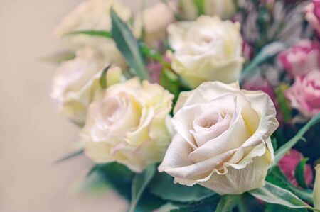 Romantic bouquet of delicate greenish roses on a light background. Close-up, copy space.の写真素材