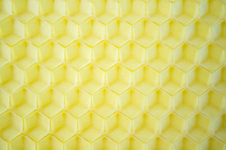 honeycomb made of wax close up. products of bees. Background