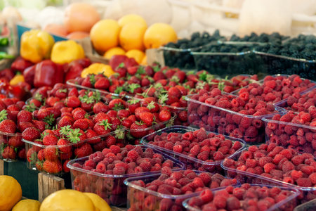 Blueberries, strawberries, raspberries and blackberries are prepared for sale at the farmers  market. Fruits on the market counter are laid out in plastic containers. Fresh farm productsの写真素材