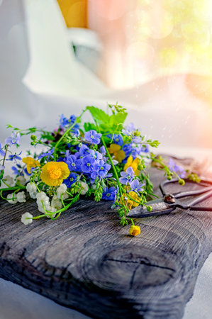 Composition with yellow Buttercup and forget-me-not on a wooden background. large rustic vintage scissors, a bouquet of wild flowers in a very old dark wooden box. real scene in the garden. natural light.の写真素材