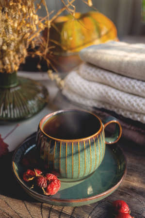 healthy hot drink to keep you warm on cold autumn days. Hot cocoa chocolate in a beautiful Cup with a blanket and autumn leaves. Cozy autumn still life. top view.の写真素材