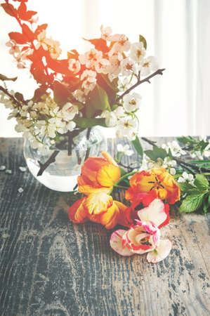 Flowers. Bright tulips lie on a wooden background. a glass vase with small white flowers in the background. Romantic still life.の写真素材