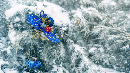 blue decorative bow with bells hangs on a vegetable background of snow-covered branches of a...