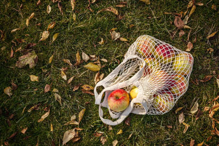Ripe apples in a string bag healthy food in an eco-friendly container. No plastic. Reusable eco-friendly cotton grocery carrying bag.の写真素材