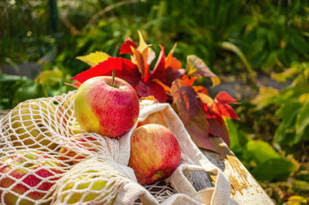 Ripe apples in a string bag healthy food in an eco-friendly container. No plastic. Reusable eco-friendly cotton grocery carrying bag.の写真素材