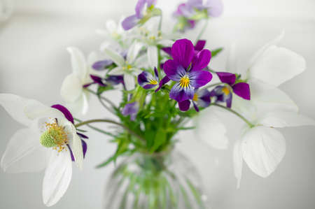 bouquet of spring flowers-wood anemones with violet and wild onion flowers in a glass vase on a light background.の写真素材