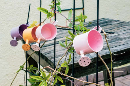 watering cans as a design element. colorful watering cans hang on the fence as a decoration of the...