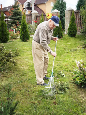 an elderly man of 80 years works in the garden. The gardener rakes the mown grass with a rake. Active old age. Work in the garden quarantined in the coronavirus pandemic ..の写真素材
