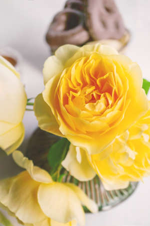 Beautiful yellow rose in a vase close-up. Soft selective focus.の写真素材