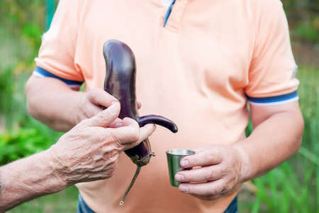 garden grew funny eggplant-mutants of unusual shape. man holds funny, deformed vegetables in his...