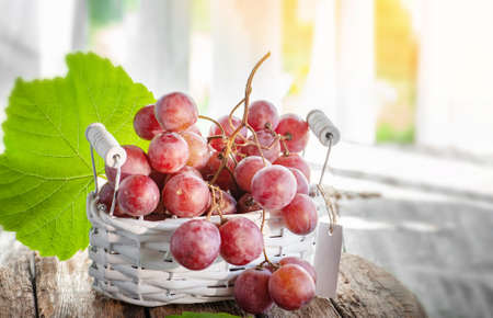 bunch of ripe red grapes in a small basket on the table in the house under the rays of the sun. Large ripe grapes are ready for eating and processing. copy spaceの写真素材