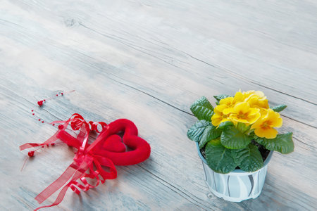 braided red heart on a light background with a yellow primrose flower. handmade heart is the background for congratulations. copyspace.の写真素材