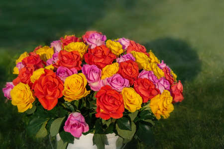 bouquet of flowers is a composition of multicolored roses on a green grass background. The...