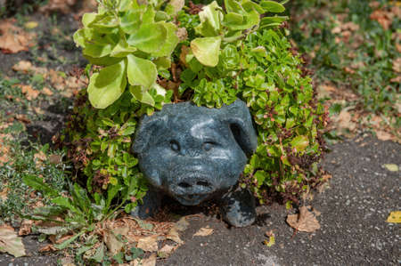 figurine of a stone black pig in landscape design. A black pig in a clearing with flowers.