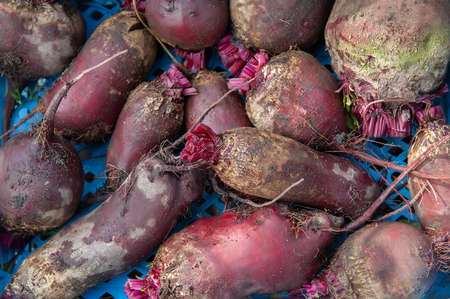 Photo of beet root crops top view. Grocery background. beet crop is stacked in a box.の写真素材