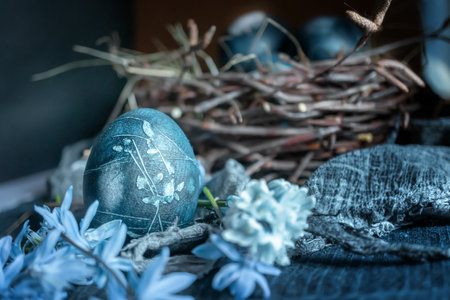 Blue Easter eggs in the nest. Eggs colored with karkade tea and plant leaves. Easter still life in a dark key. Soft focusの写真素材