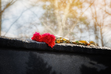 A symbol of memory and sorrow. Two carnations on the monument to those who participated and died in...