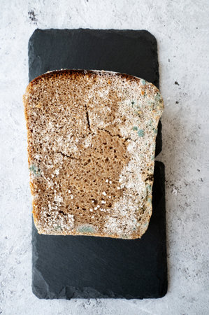 piece of rye bread with mold, Fungus on bread, mold on bread covered with fungus, a piece of rye bread with white and black mold.の写真素材