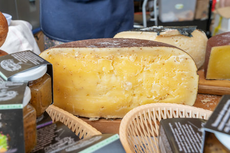 Russian farmer cheeses from the manufacturer. Assortment of tasty cheese on the counter.の写真素材