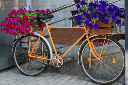 Beautiful colorful flowers on white bicycle concept of wedding and valentine landscape in the garden backgroundの写真素材