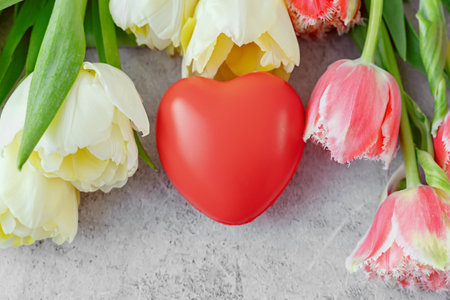 A heart-shaped toy and pink and yellow tulips. Fresh tulip flowers and heart on a gray concrete...