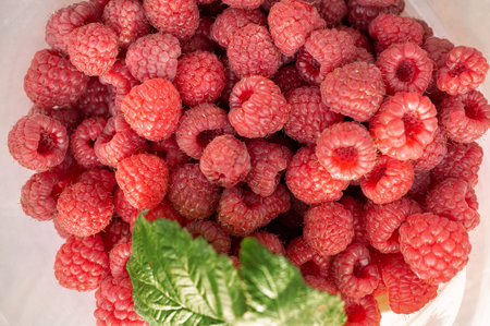 raspberries close-up. Ripe juicy raspberry harvest. Berry background.の写真素材