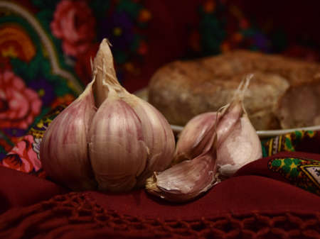 Traditional ukrainian foodの写真素材