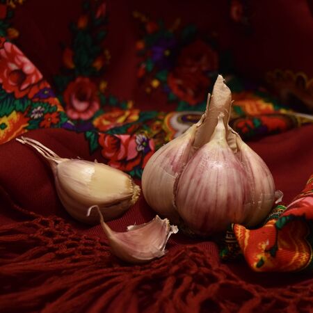 Still life with a garlic.の写真素材