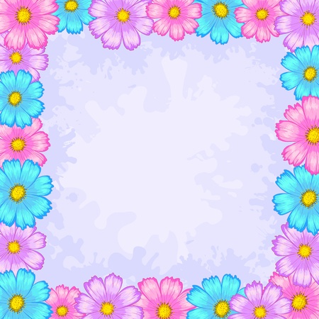 Vector floral background, frame from flowers cosmosのイラスト素材