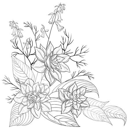 Flowers and leaves narcissuses, vector graphic, monochrome contoursのイラスト素材