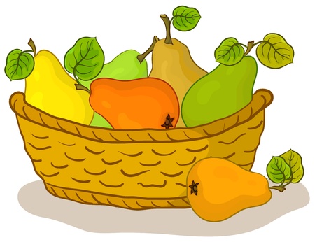 basket with fruits, sweet pears with green leavesのイラスト素材