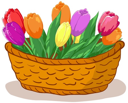 Vector, wattled basket with flowers tulips and green leavesのイラスト素材