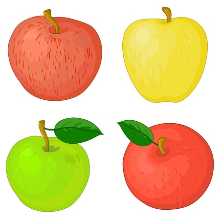 Vector, fruits, set sweet raw various apples with green leafsのイラスト素材