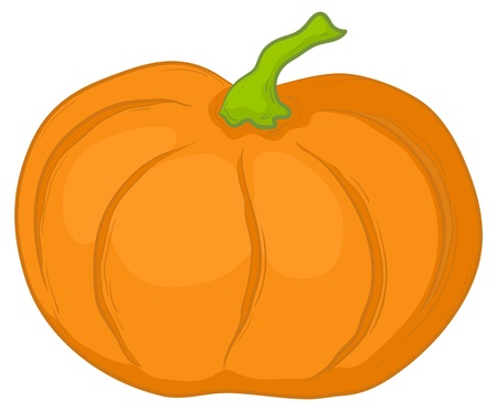 Vegetable, vector, fresh orange pumpkin, veisolated on white backgroundのイラスト素材