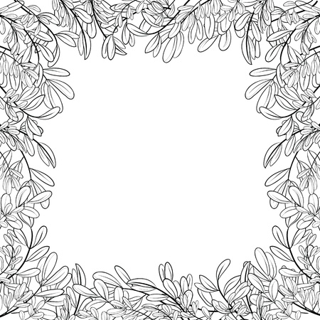 Vector background with a border of leaves of plants, contoursのイラスト素材